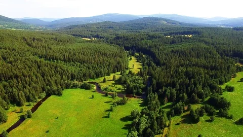 Flight over mountain forest. Nature from above. Stock Footage 113412711