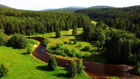 Flight over mountain forest. Nature from above. Stock Footage 113413301