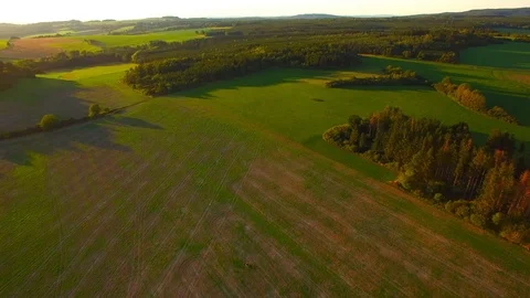 Flight over mountain forest. Nature from above. Video stock 115508780