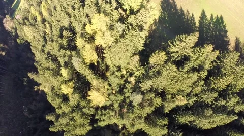 Flight over a Mountain Forrest - Aerial Flight Stock Footage 46002842