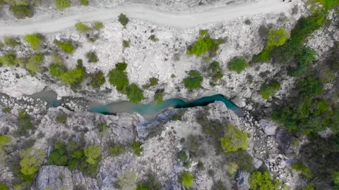 Flight over a mountain river and a trail to a gorge among a coniferous forest Video stock 162567910