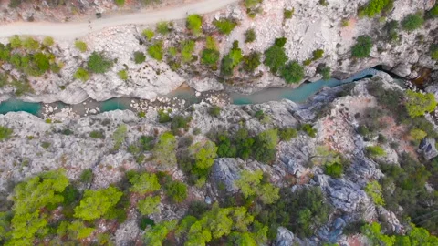 Flight over a mountain river and a trail to a gorge among a coniferous forest Video stock 162568105