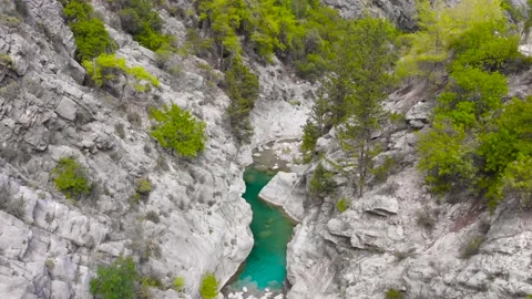 Flight over a mountain river and a trail to a gorge among a coniferous forest Video stock 162568172