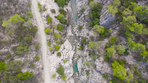 Flight over a mountain river and a trail to a gorge among a coniferous forest Video stock 162568313