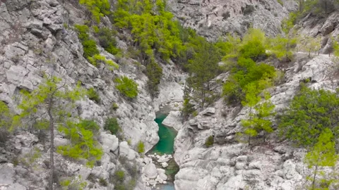 Flight over a mountain river and a trail to a gorge among a coniferous forest Video stock 162568404