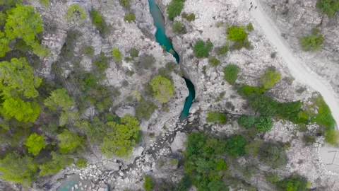 Flight over a mountain river and a trail to a gorge among a coniferous forest Video stock 162568563