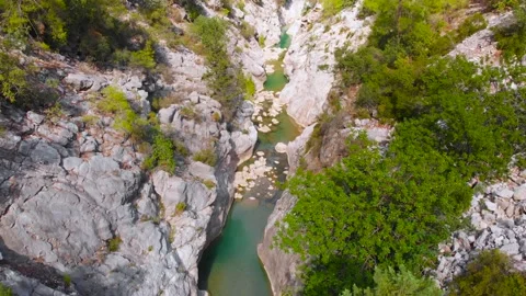 Flight over a mountain river and a trail to a gorge among a coniferous forest Video stock 162568593
