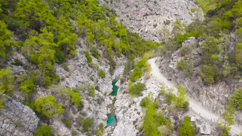 Flight over a mountain river and a trail to a gorge among a coniferous forest Video stock 162568653