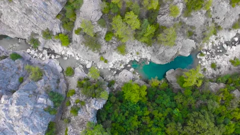 Flight over a mountain river and a trail to a gorge among a coniferous forest Video stock 162568777