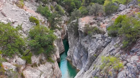 Flight over a mountain river and a trail to a gorge among a coniferous forest Video stock 162568940