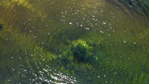 Flight over the mountain river between rocks and vegetation Stock Footage 118814414