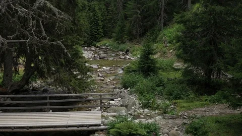 Flight over the Mountain River Demyanitsa Video stock 121098895