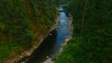 Flight over a mountain river. Shot on FPV drone. British Columbia, Canada. 스톡 동영상 252612373