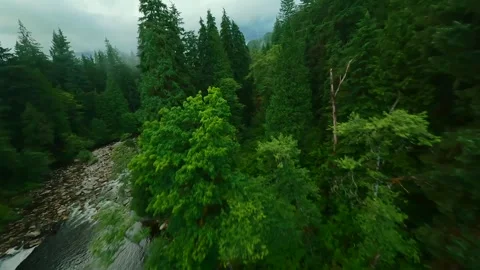 Flight over a mountain river. Shot on FPV drone. British Columbia, Canada. Video stock 260206405