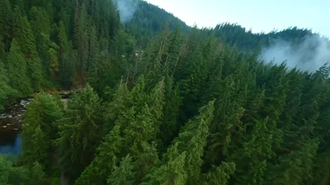 Flight over a mountain river. Shot on FPV drone. British Columbia, Canada. Stock Footage 261217142