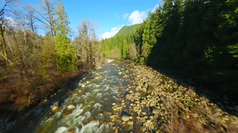 Flight over a mountain river. Shot on FPV drone. British Columbia, Canada. Stock Footage 276234392
