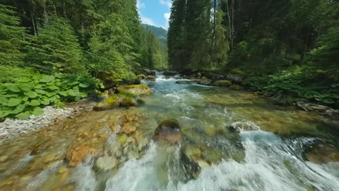 Flight over a mountain river. Shot on FPV drone. Tatra Mountains, Slovakia. Stock Footage 283020242