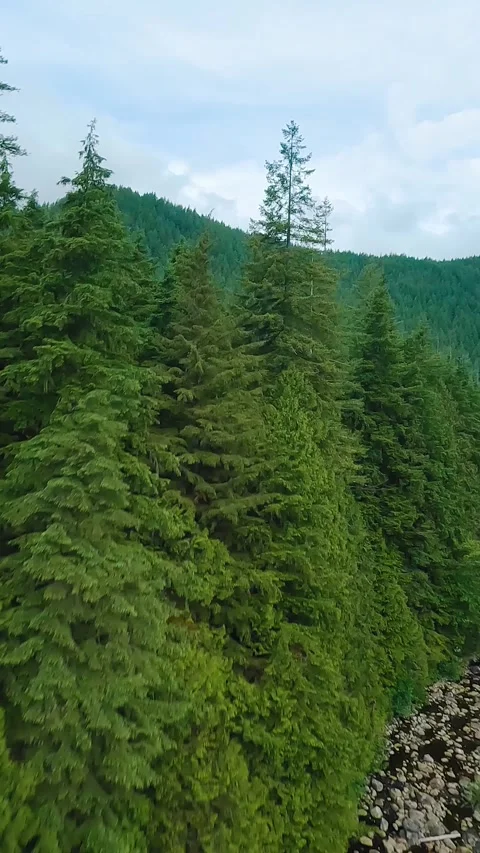 Flight over a mountain river. Shot on FPV drone. British Columbia, Canada. Stock Footage 305475377