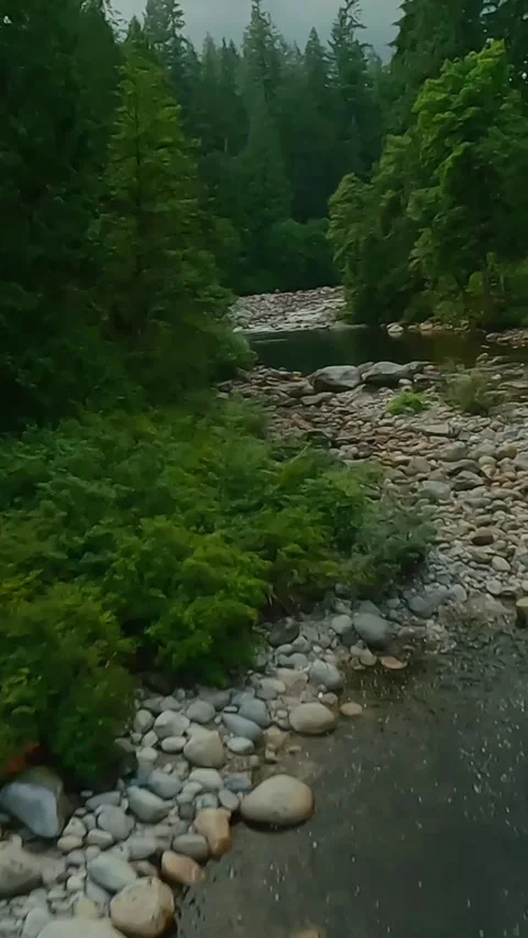 Flight over a mountain river. Shot on FPV drone. British Columbia, Canada. Stock Footage 312231101