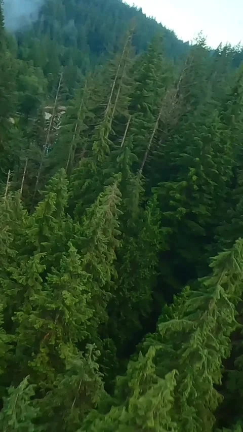 Flight over a mountain river. Shot on FPV drone. British Columbia, Canada. Stock Footage 319841446