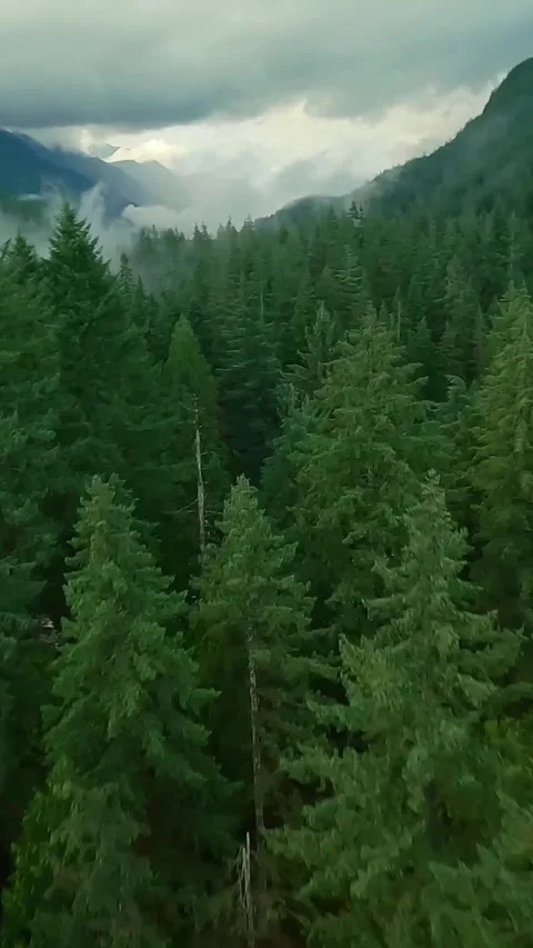 Flight over a mountain river. Shot on FPV drone. British Columbia, Canada. Stock Footage 322535823