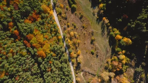 Flight over the mountain road and forests with colorful autumn trees Stock Footage 120432171