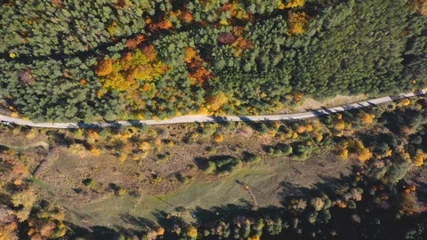Flight over the mountain road and forests with colorful autumn trees Stock Footage 120648727