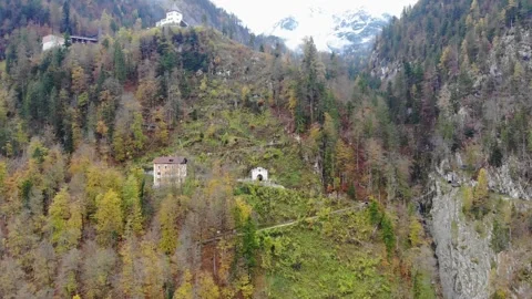 Flight over mountain slopes overgrown with yellow-green trees in autumn time Stock Footage 257875468