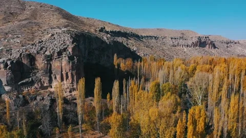 Flight over mountain trees in the gorge Stock Footage 169223995