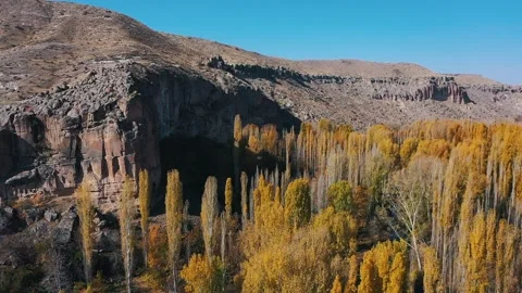 Flight over mountain trees in the gorge Stock Footage 316250787