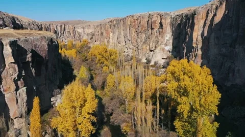 Flight over mountain trees in the gorge Stock Footage 316251515
