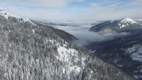 Flight over a mountain wooded slopes covered with snow Stock Footage