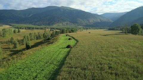 Flight over the Mountains. Altai. Siberia. Flying over the River. Forest Valley. Stock Footage 34457304