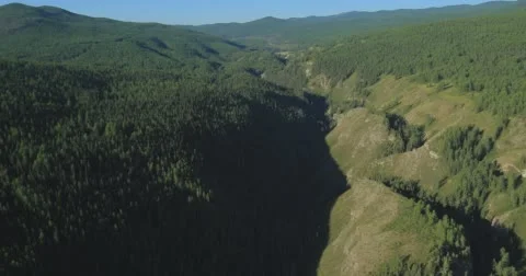 Flight over the Mountains. Altai. Siberia. Flying over the River. Forest Valley. Stock Footage 63426985