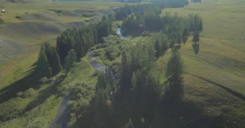 Flight over the Mountains. Altai. Siberia. Flying over the River. Forest Valley. Stock Footage 63431476