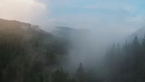 Flight over mountains covered with coniferous forest. Mist rises over the Stock Footage 157314156