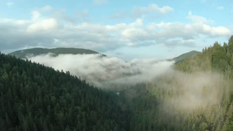 Flight over mountains covered with coniferous forest. Mist rises over the Stock Footage 158048370