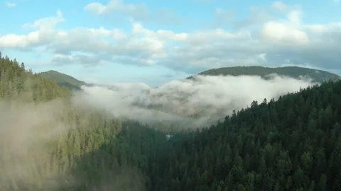 Flight over mountains covered with coniferous forest. Mist rises over the Stock Footage 161494412