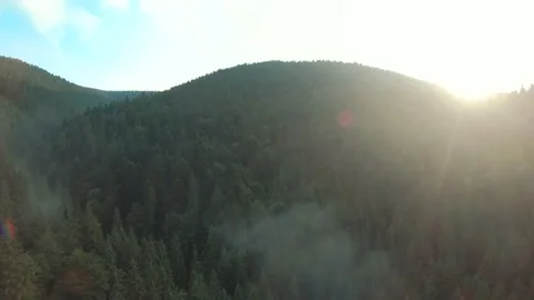 Flight over mountains covered with coniferous forest at sunset. Aerial panorama Stock Footage 166777863