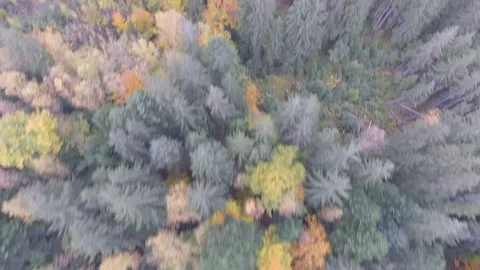 Flight over the mountains Stock Footage 89139259