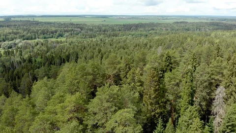 Flight over the mountains, forests and the river Video stock 113319704