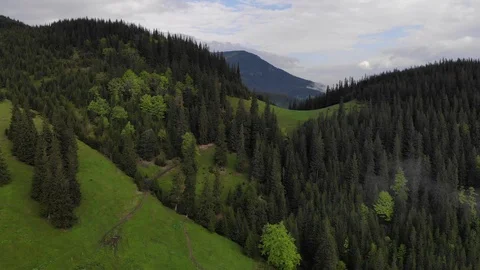 Flight over  mountains with forests, meadows and hills . Carpathian Mountains Stock Footage 121097602