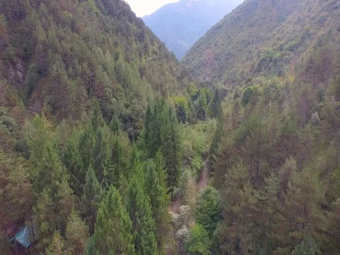 Flight over a mountain's path hidden among the trees Stock Footage 72184616