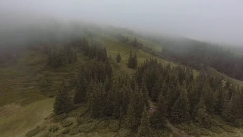 Flight over the Mountains.Forest Valley. Video stock 81222833