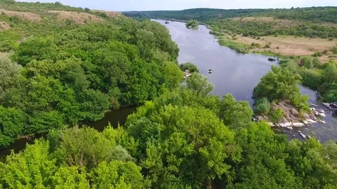 Flight over natural forest with river Stock Footage 82738397