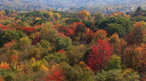Flight over New England valley in autumn Stock Footage 59486955