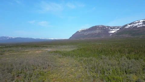 Flight Over Newfoundland Forest with Mountain Backdrop Stock-Footage 253266881