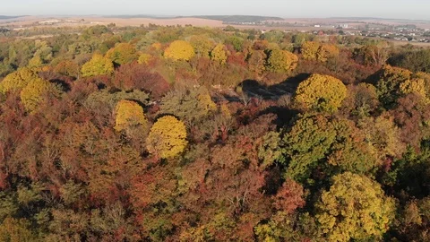 Flight Over the Old Fortress in the Forest Stock Footage 99144032