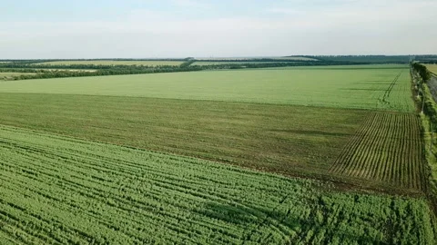 Flight over the old road Vídeo Stock 91752561
