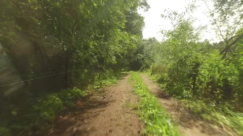 A flight over an overgrown forest road Video stock 63650523